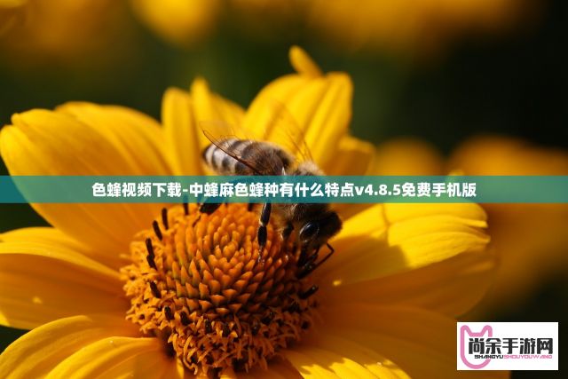 色蜂视频下载-中蜂麻色蜂种有什么特点v4.8.5免费手机版